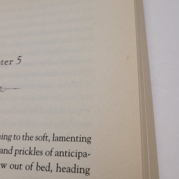 The Last Bride By Beverly Lewis Book - Paperback - Picture 9 of 10